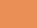 Action Orange